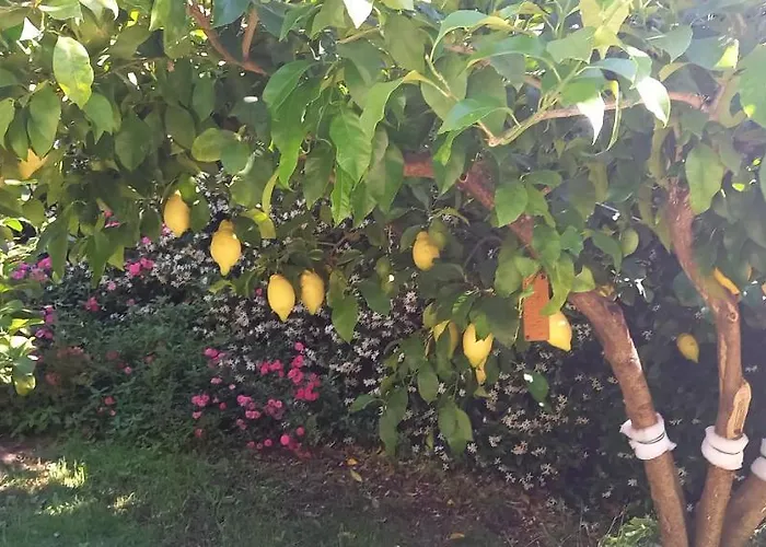 Hébergement de vacances Emma